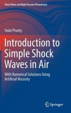 Introduction to Simple Shock Waves in Air