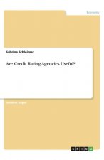 Are Credit Rating Agencies Useful?
