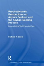 Psychodynamic Perspectives on Asylum Seekers and the Asylum-Seeking Process