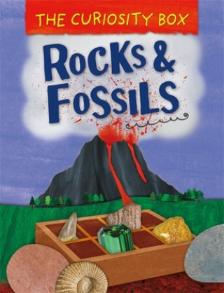 Curiosity Box: Rocks and Fossils