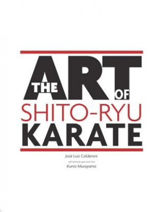 Art Of Shito Ryu Karate