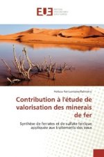 Contribution à l'étude de valorisation des minerais de fer