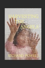 Harvesting The Angels