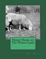 Dorset Sheep, or; The Winter Lamb