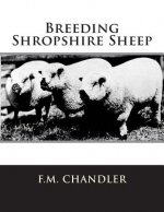 Breeding Shropshire Sheep