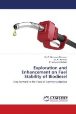 Exploration and Enhancement on Fuel Stability of Biodiesel