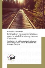 Estimation non paramétrique pour la stabilité des syst?mes d'attente