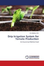 Drip Irrigation System for Tomato Production