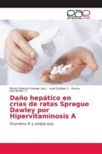 Dano hepatico en crias de ratas Sprague Dawley por Hipervitaminosis A