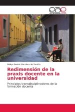 Redimension de la praxis docente en la universidad