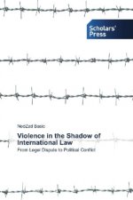 Violence in the Shadow of International Law