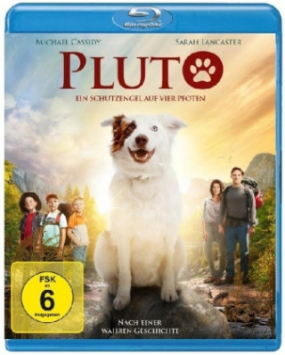 Pluto - Ein Schutzengel auf vier Pfoten