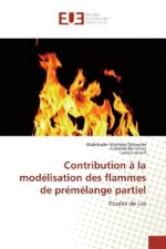 Contribution ? la modélisation des flammes de prémélange partiel
