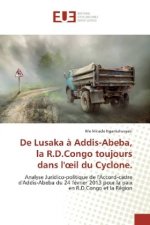 De Lusaka ? Addis-Abeba, la R.D.Congo toujours dans l'oeil du Cyclone.