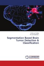 Segmentation Based Brain Tumor Detection & Classification