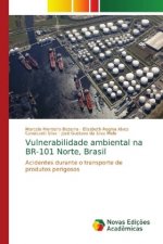 Vulnerabilidade ambiental na BR-101 Norte, Brasil