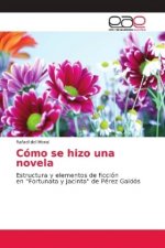 Como se hizo una novela