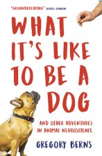 What It's Like to Be a Dog
