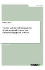 Trauma und die heilpädagogische Begleitung durch trauma- und erlebnispädagogische Aspekte