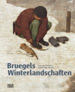 Bruegels Winterlandschaften (German Edition)