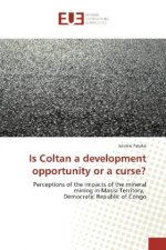 Is Coltan a development opportunity or a curse?