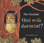 QUI ESTÀ DORMINT?