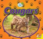 Cougars