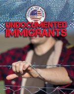 Illegal Immigrants