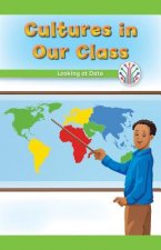 Cultures in Our Class: Looking at Data