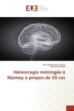 Hémorragie méningée ? Niamey ? propos de 30 cas