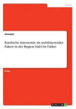 Kurdische Autonomie als stabilisierender Faktor in der Region Süd-Ost-Türkei