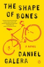 Shape Of Bones