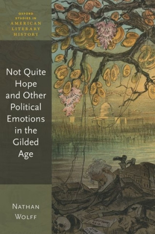 Not Quite Hope and Other Political Emotions in the Gilded Age