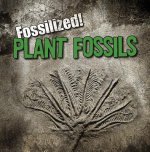 Plant Fossils