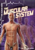 The Muscular System