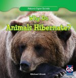 Why Do Animals Hibernate?