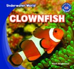 Clownfish