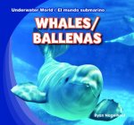 Whales / Ballenas
