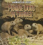 Prairie Dogs in Danger
