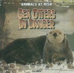 Sea Otters in Danger