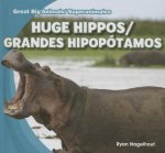 Huge Hippos/Grandes Hipoptamos