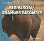 Big Bison/Grandes Bisontes