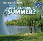 What Happens in Summer?: