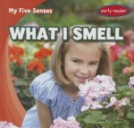 What I Smell