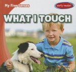 What I Touch