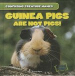 Guinea Pigs Are Not Pigs!
