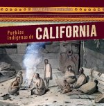 Pueblos Indigenas de California (Native Peoples of California) (Set)