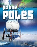 At the Poles