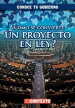 Como Se Convierte Un Proyecto En Ley? (How Does a Bill Become a Law?)