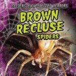 Brown Recluse Spiders